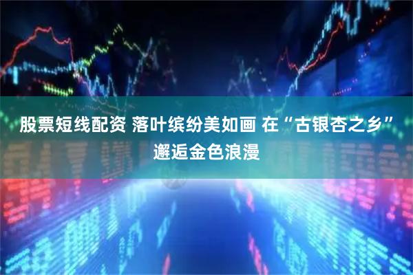 股票短线配资 落叶缤纷美如画 在“古银杏之乡”邂逅金色浪漫